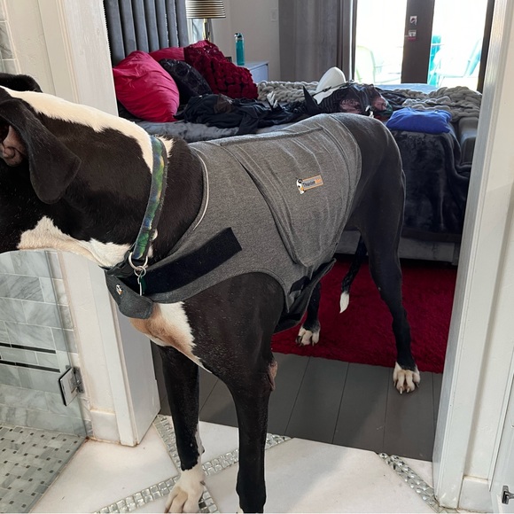 ThunderShirt for Dogs - Picture 4 of 4